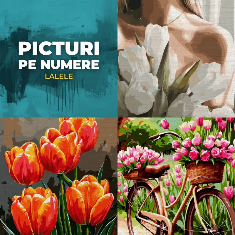 Picturi pe numere cu lalele