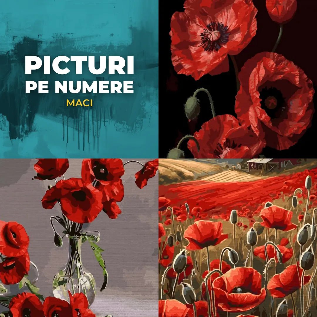 Picturi pe numere cu maci