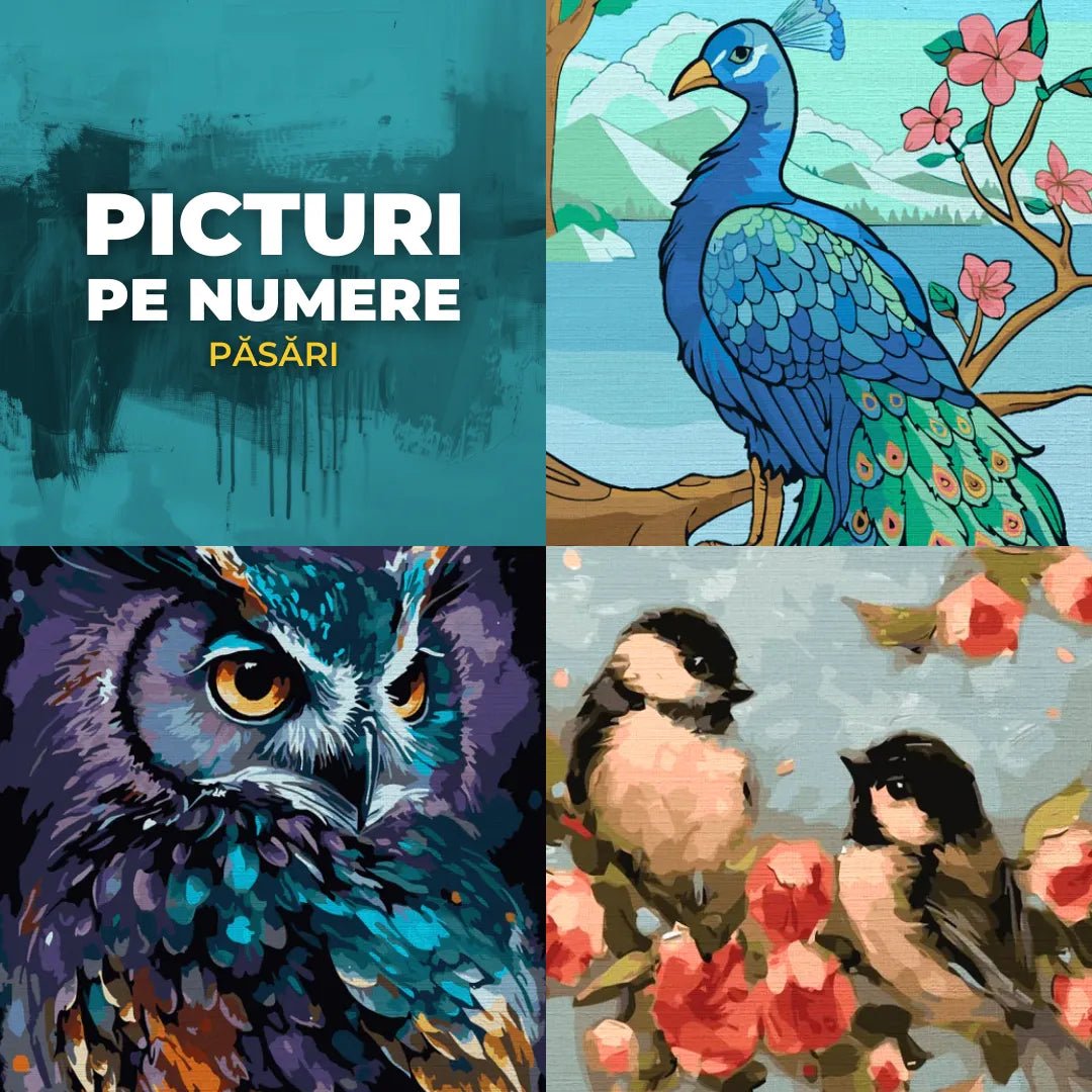 Picturi pe numere cu păsări
