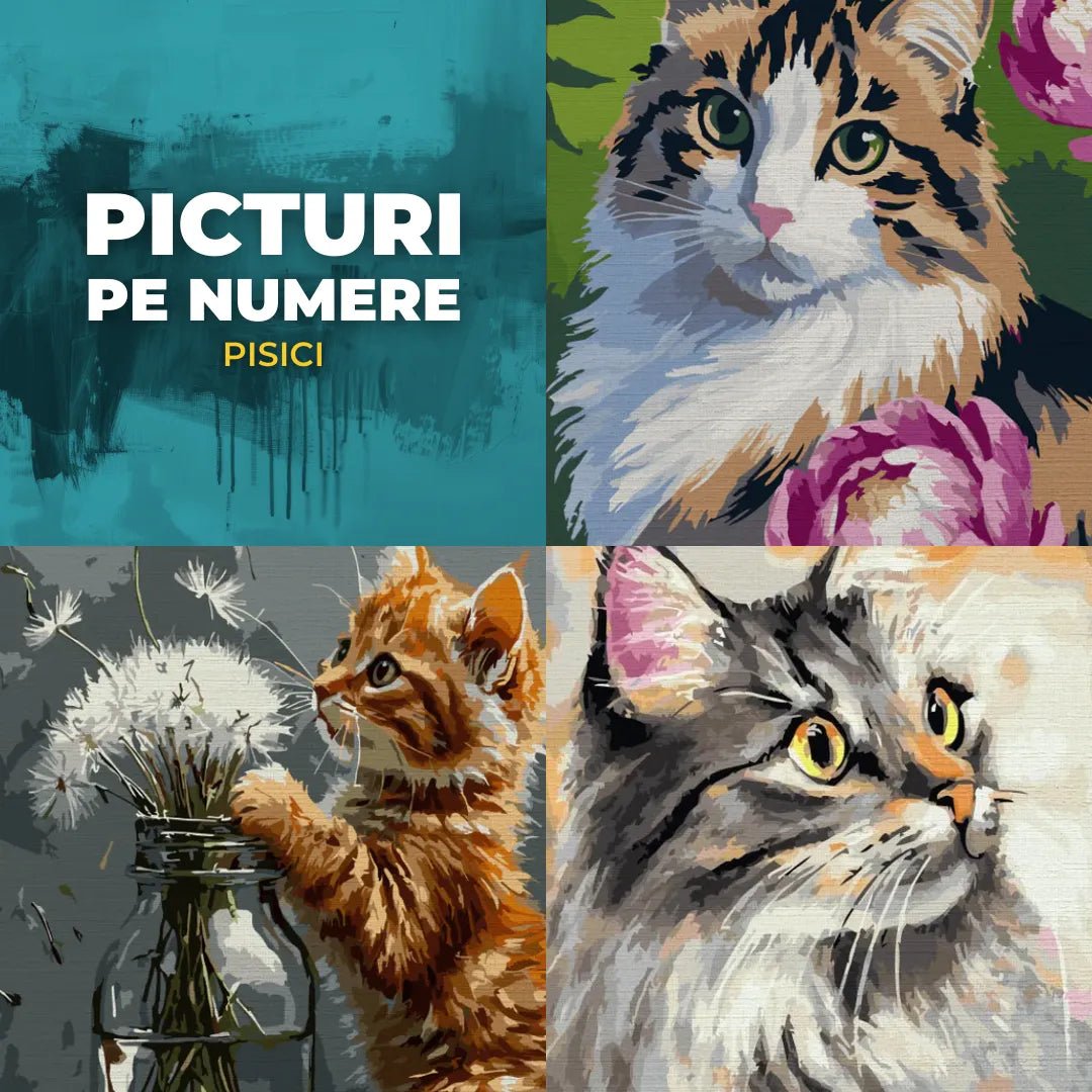 Picturi pe numere cu pisici