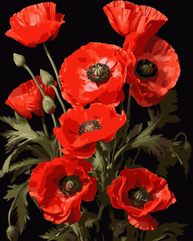 Buchet de maci (Bouquet of poppies) - Pictură pe numere - Pictorul Fericit