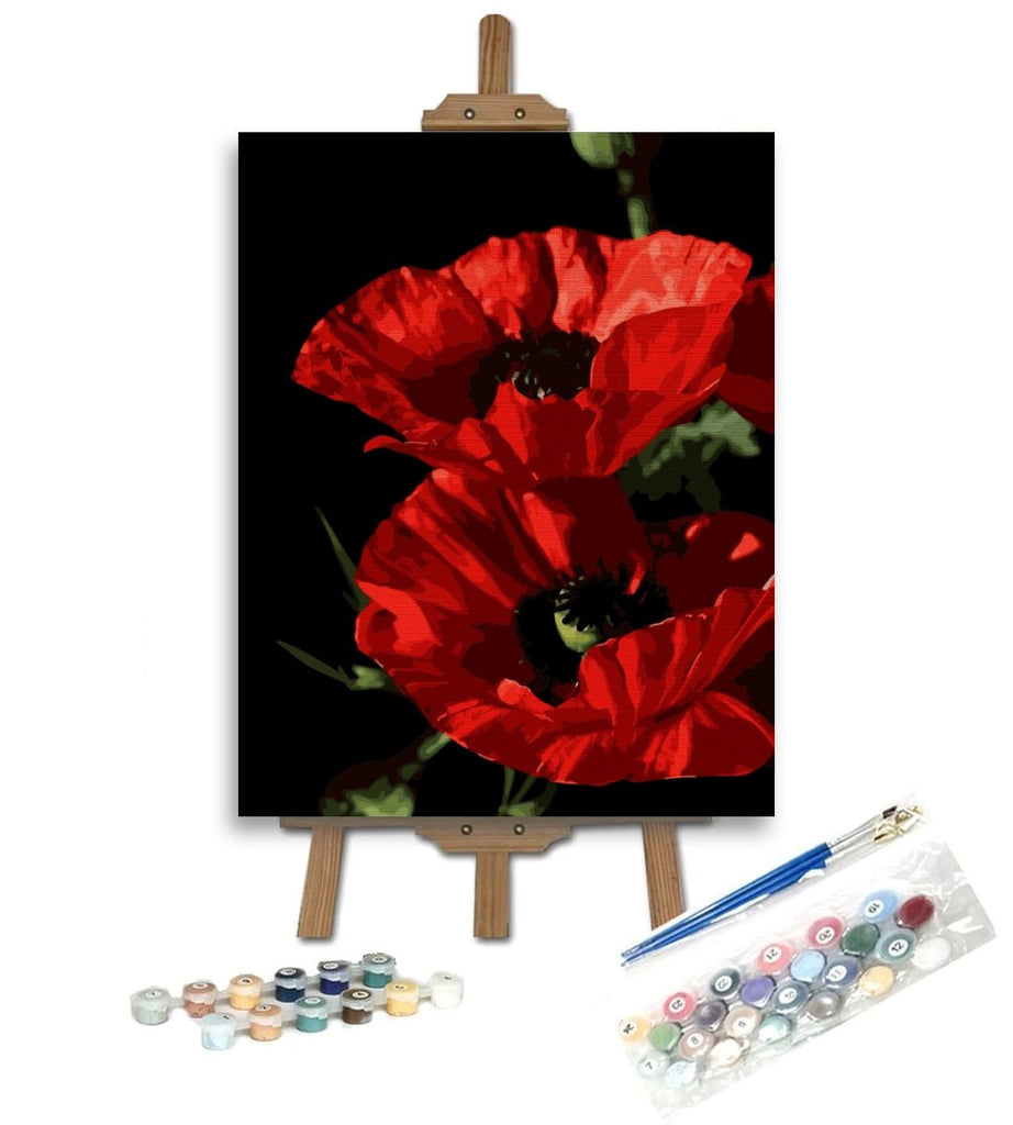 Maci roșii (The red poppies) - Pictură pe numere - Pictorul Fericit