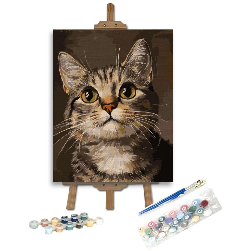 Ochi visători - Pictură pe numere - Pictorul Fericit