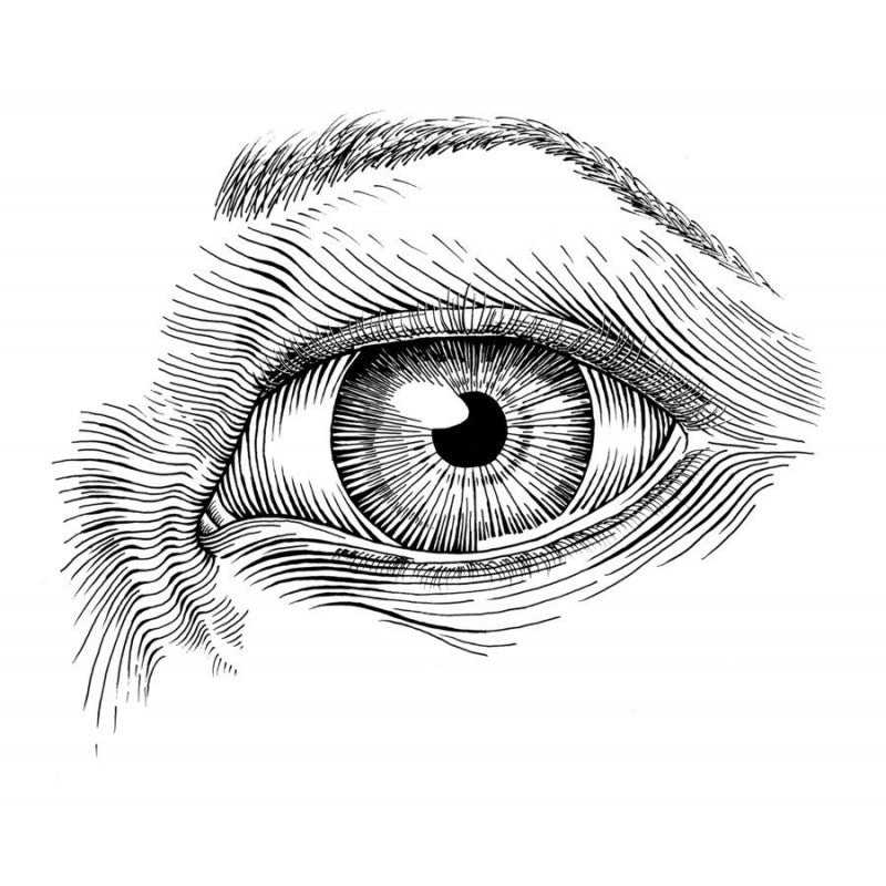 Set caligrafie Atelier, toc + 4 penițe diferite mărimi, corp negru ergonomic - Pictorul Fericit