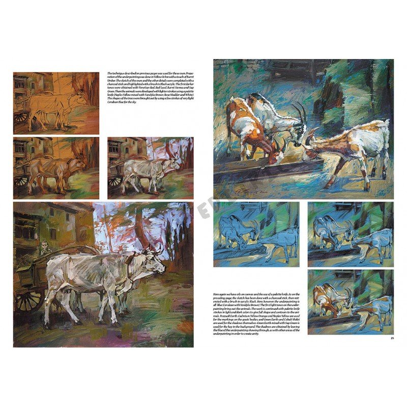 Animale, nr. 13 cu ilustrații, colecția Leonardo, Vinciana Editrice - Pictorul Fericit
