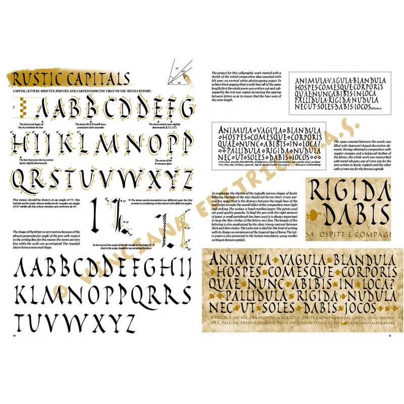 Caligrafia, nr. 39, cu ilustrații, colecția Leonardo, Vinciana Editrice - Pictorul Fericit