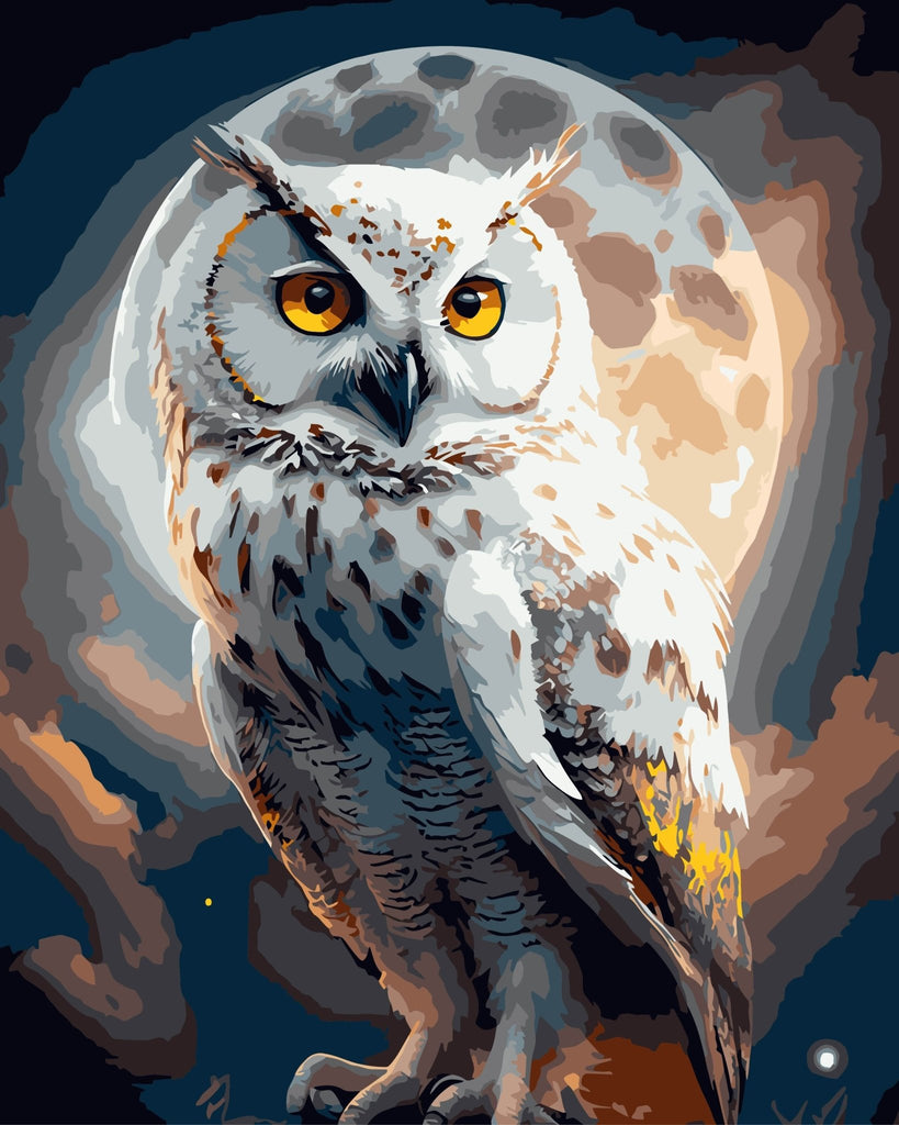 Midnight owl - Pictură pe numere - Pictorul Fericit