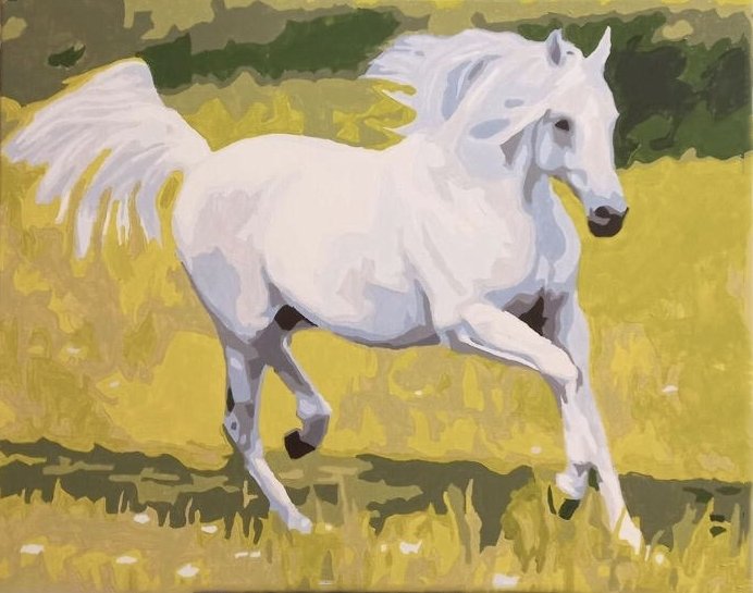 White Horse - Pictură pe numere - Pictorul Fericit
