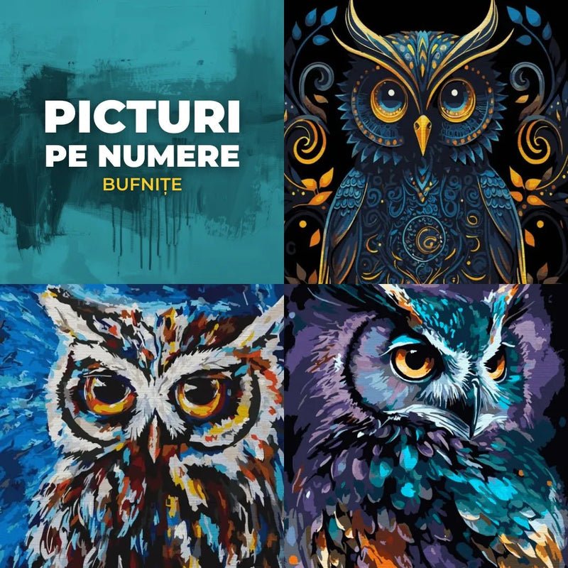 Picturi pe numere cu bufnițe