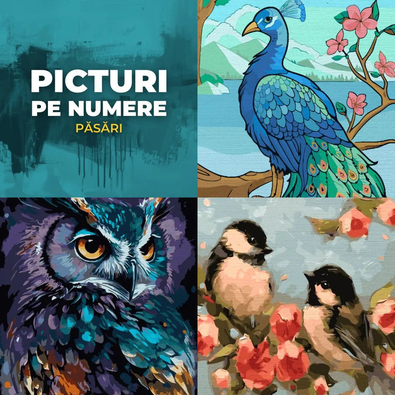 Picturi pe numere cu păsări