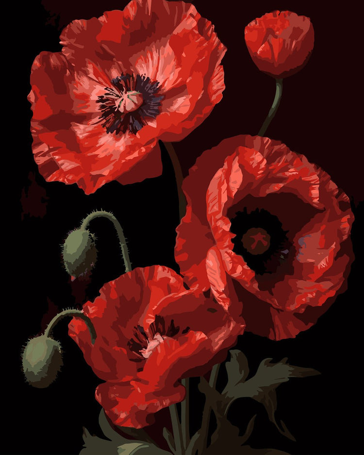 Frumusețea macilor (Beauty of poppies) - Pictură pe numere - Pictorul Fericit
