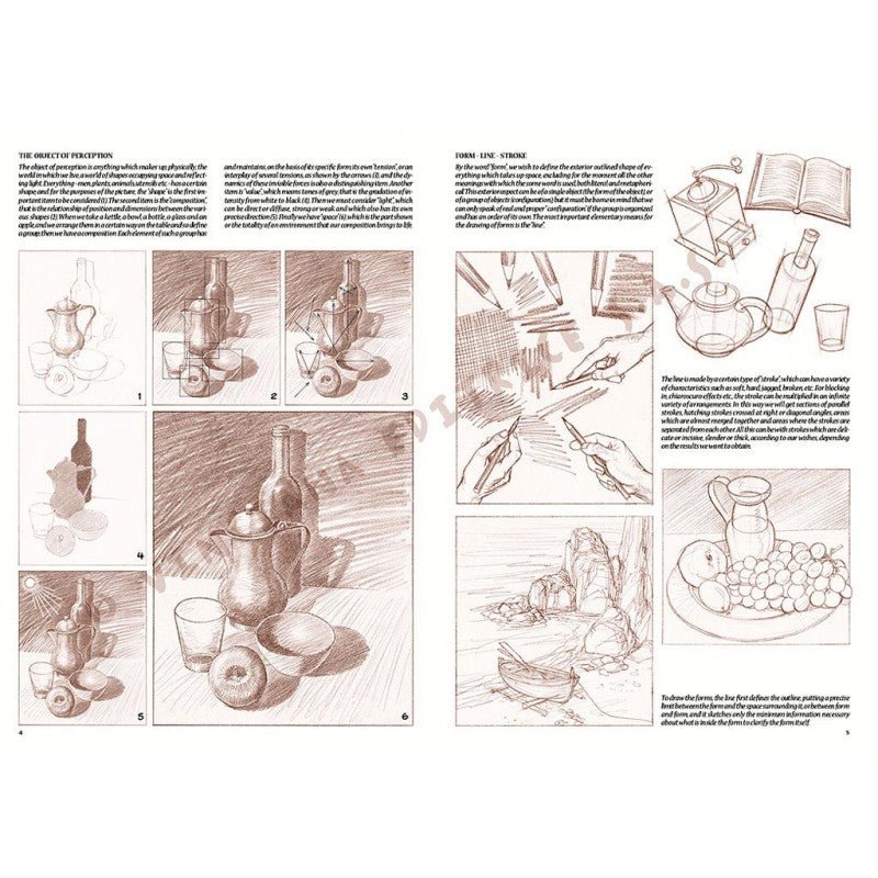 Bazele desenului, nr. 1 cu ilustrații, colectia Leonardo, Vinciana Editrice