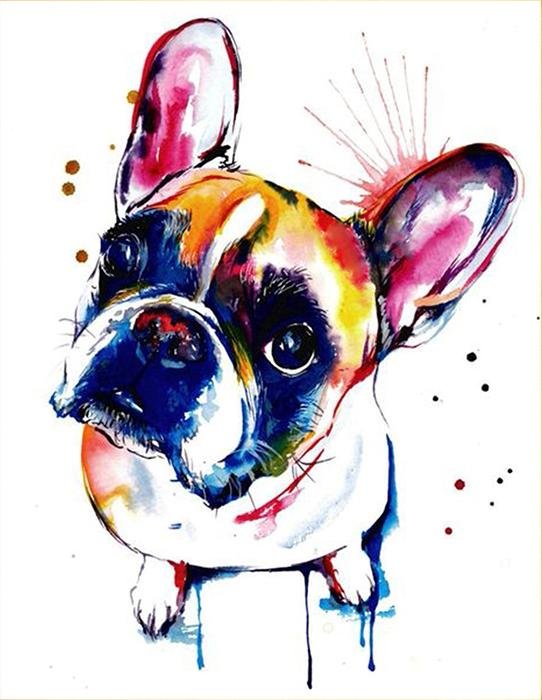 Cute dog - Pictură pe numere - Pictorul Fericit