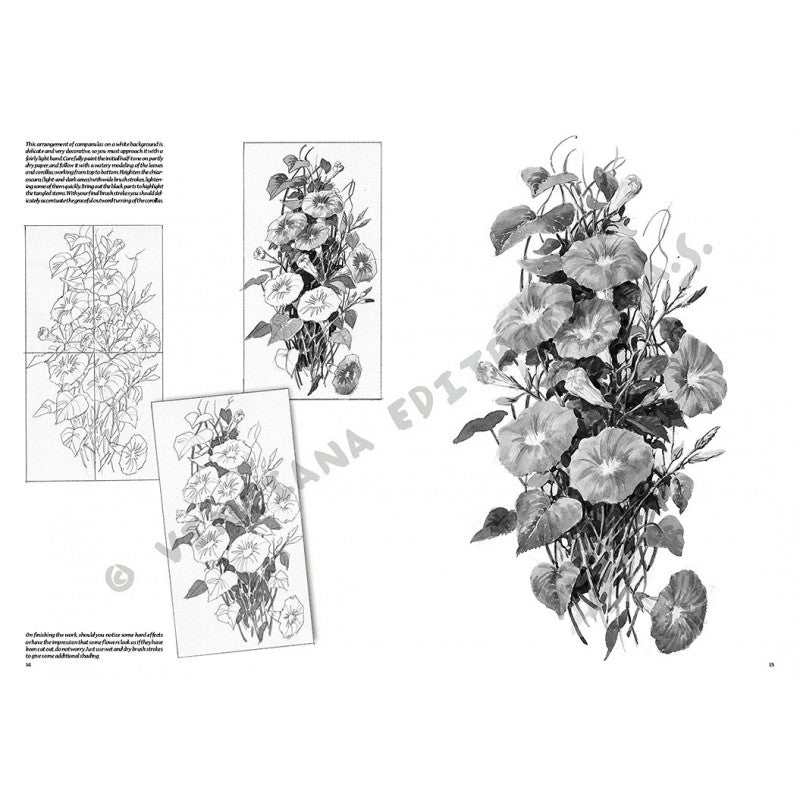 Flori, nr. 20 cu ilustrații, colecția Leonardo, Vinciana Editrice
