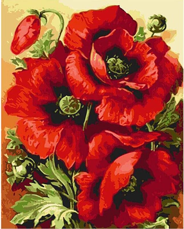 Intense Red Poppies - Pictură pe numere - Pictorul Fericit