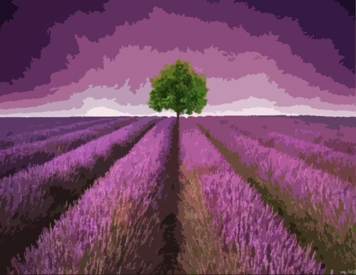 Lavender Field - Pictură pe numere - Pictorul Fericit