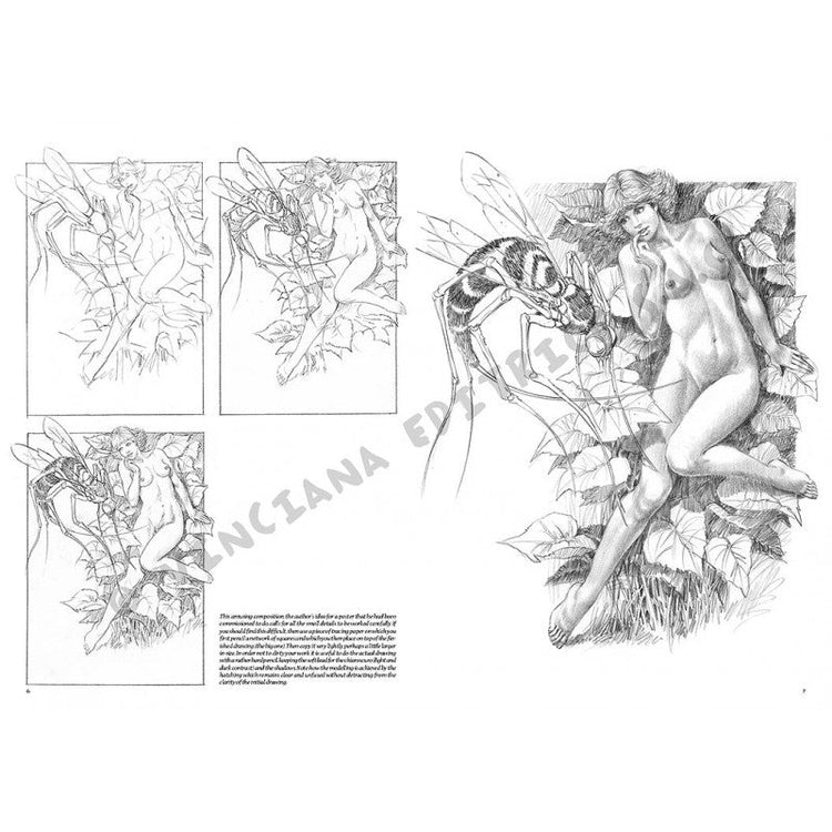Nuduri, nr. 7 cu ilustrații, colecția Leonardo, Vinciana Editrice