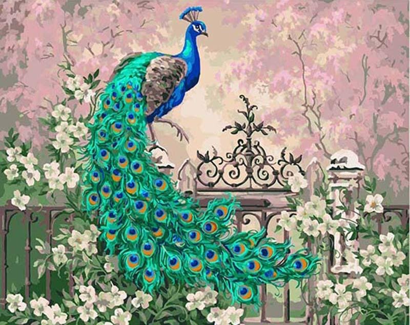 Royal Peacock - Pictură pe numere - Pictorul Fericit