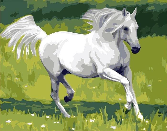 White Horse - Pictură pe numere - Pictorul Fericit